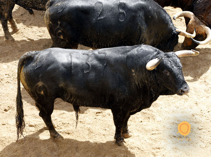 Sevilla - Sorteo de los toros de Fuente Ymbro - Sábado 21 de abril de 2018