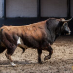 Sorteo Madrid, 15 de abril de 2018