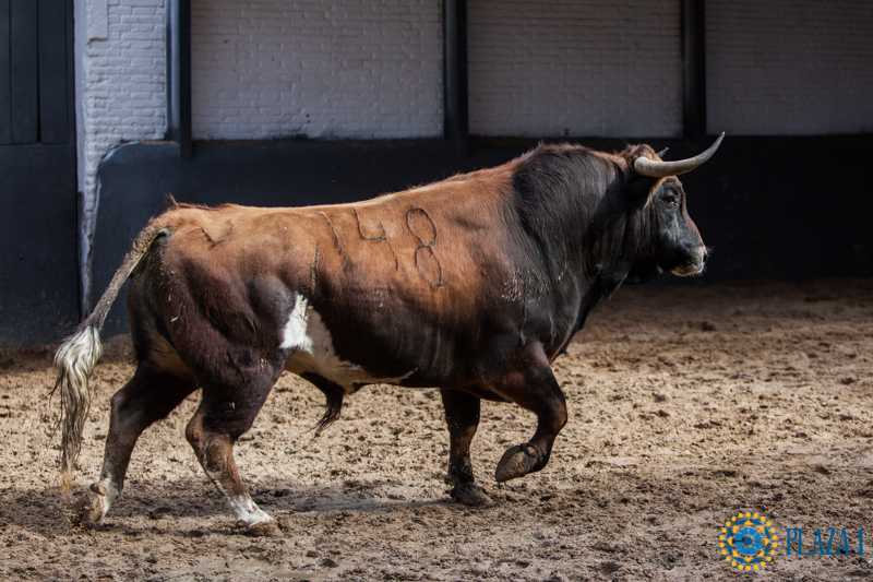 Sorteo Madrid, 15 de abril de 2018