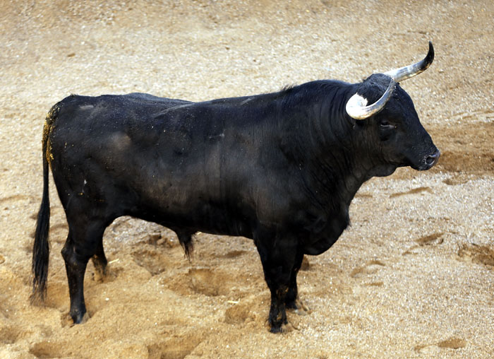 Sevilla - Real Maestranza - Sorteo - Domingo de Resurrección - 1 de abril de 2018