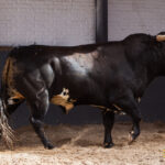 Sorteo Madrid, 15 de abril de 2018