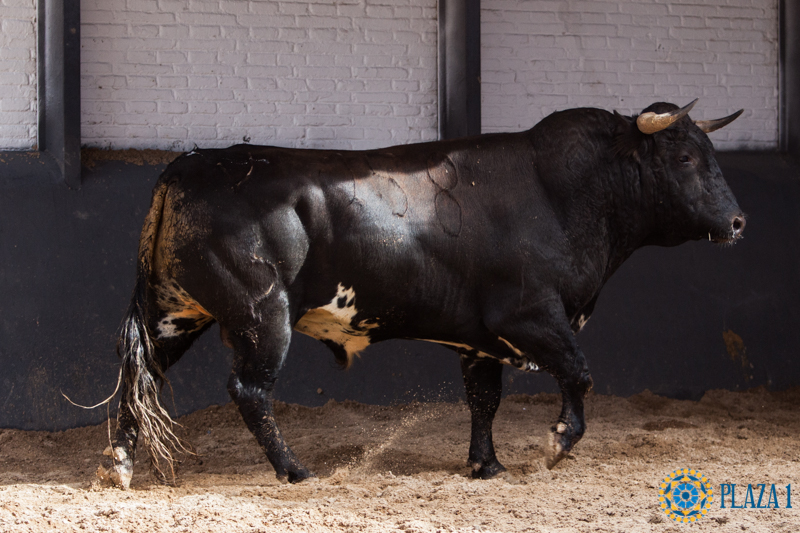 Sorteo Madrid, 15 de abril de 2018