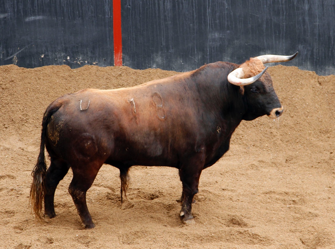 Sevilla - Sorteo - Corrida de toros - Domingo 8 de abril de 2018