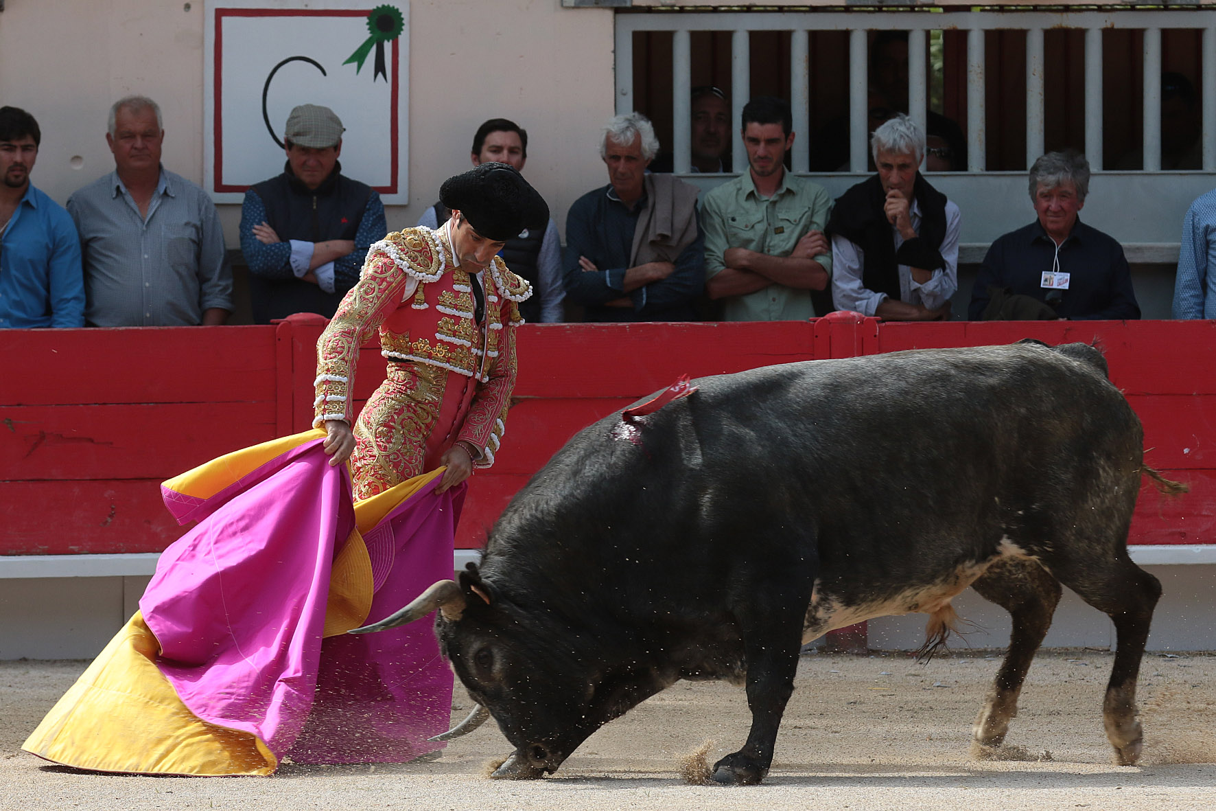 Saint Martin de Crau (Francia) - Sábado 28 de abril de 2018