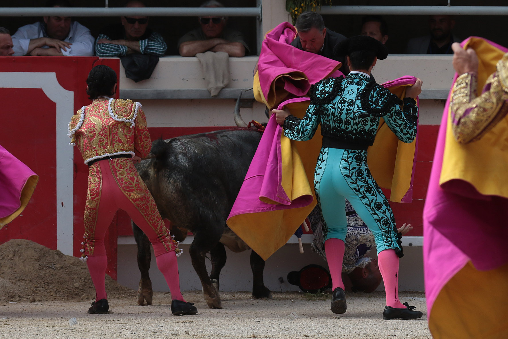 Saint Martin de Crau (Francia) - Sábado 28 de abril de 2018