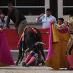 Saint Martin de Crau (Francia) - Sábado 28 de abril de 2018