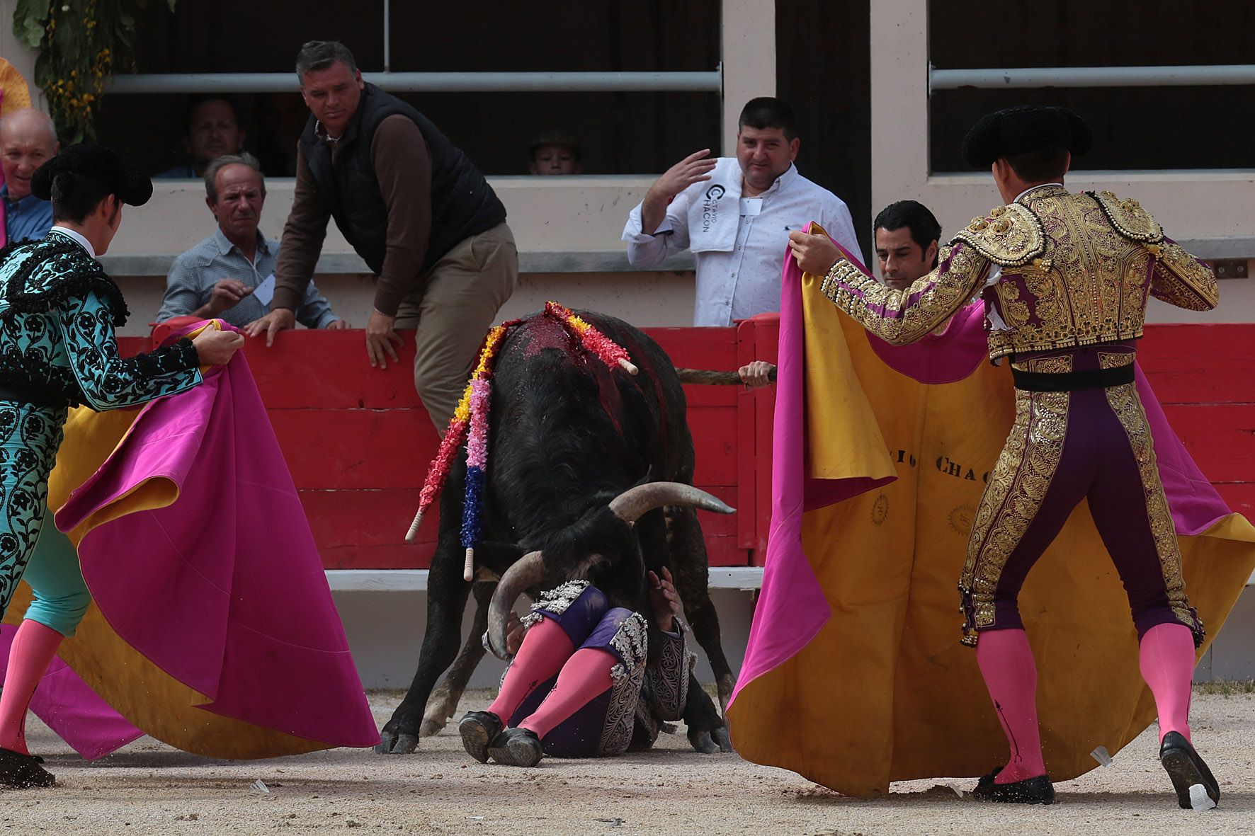 Saint Martin de Crau (Francia) - Sábado 28 de abril de 2018