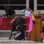 Saint Martin de Crau (Francia) - Sábado 28 de abril de 2018