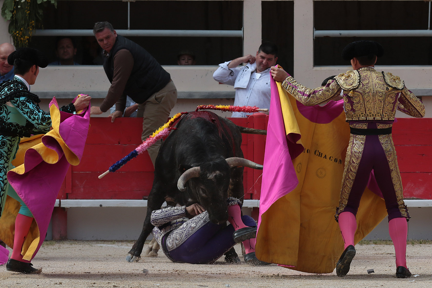 Saint Martin de Crau (Francia) - Sábado 28 de abril de 2018