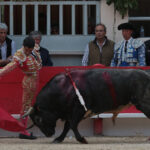 Saint Martin de Crau (Francia) - Sábado 28 de abril de 2018