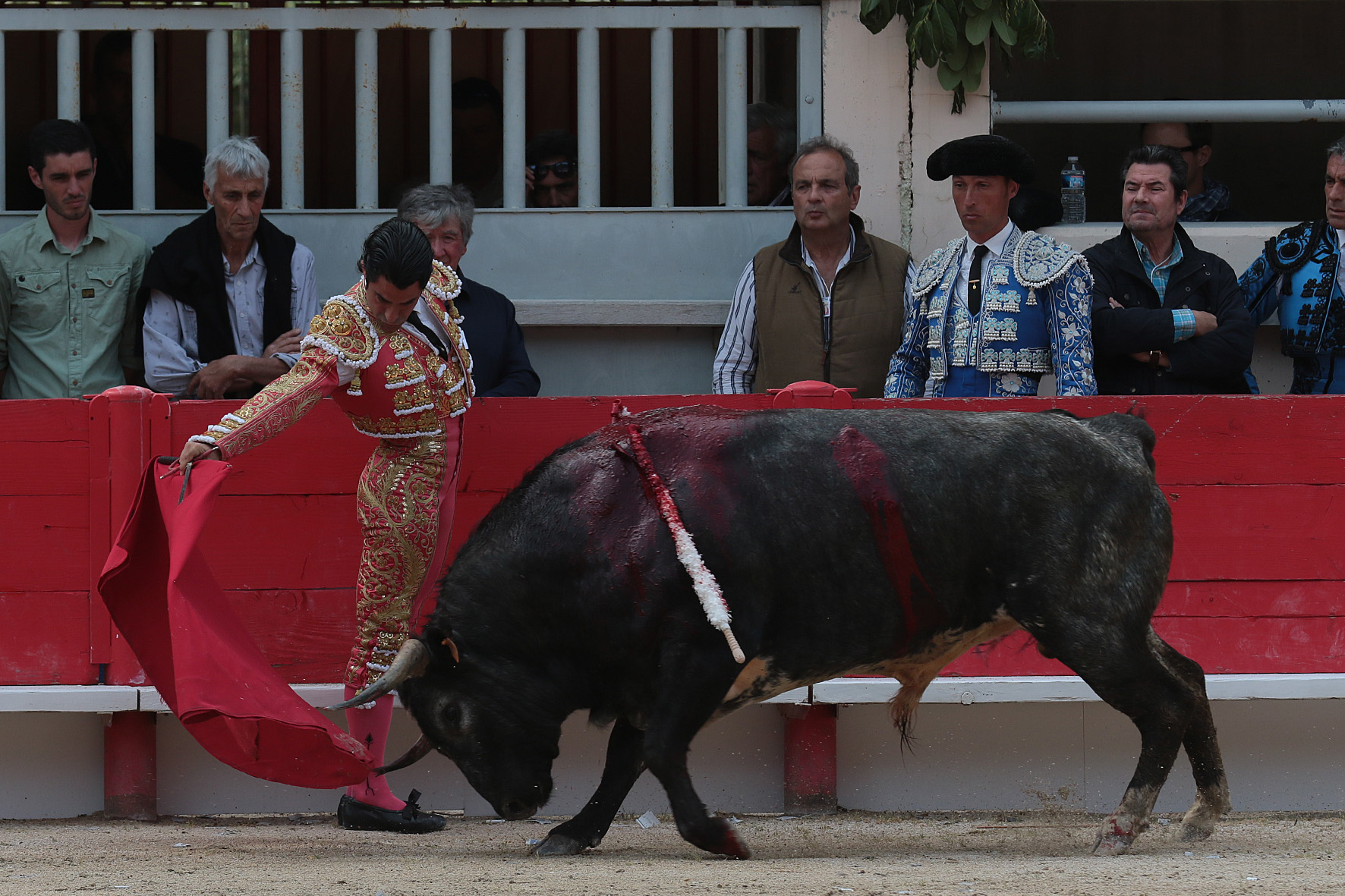Saint Martin de Crau (Francia) - Sábado 28 de abril de 2018