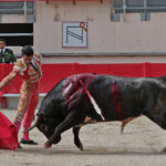 Saint Martin de Crau (Francia) - Sábado 28 de abril de 2018