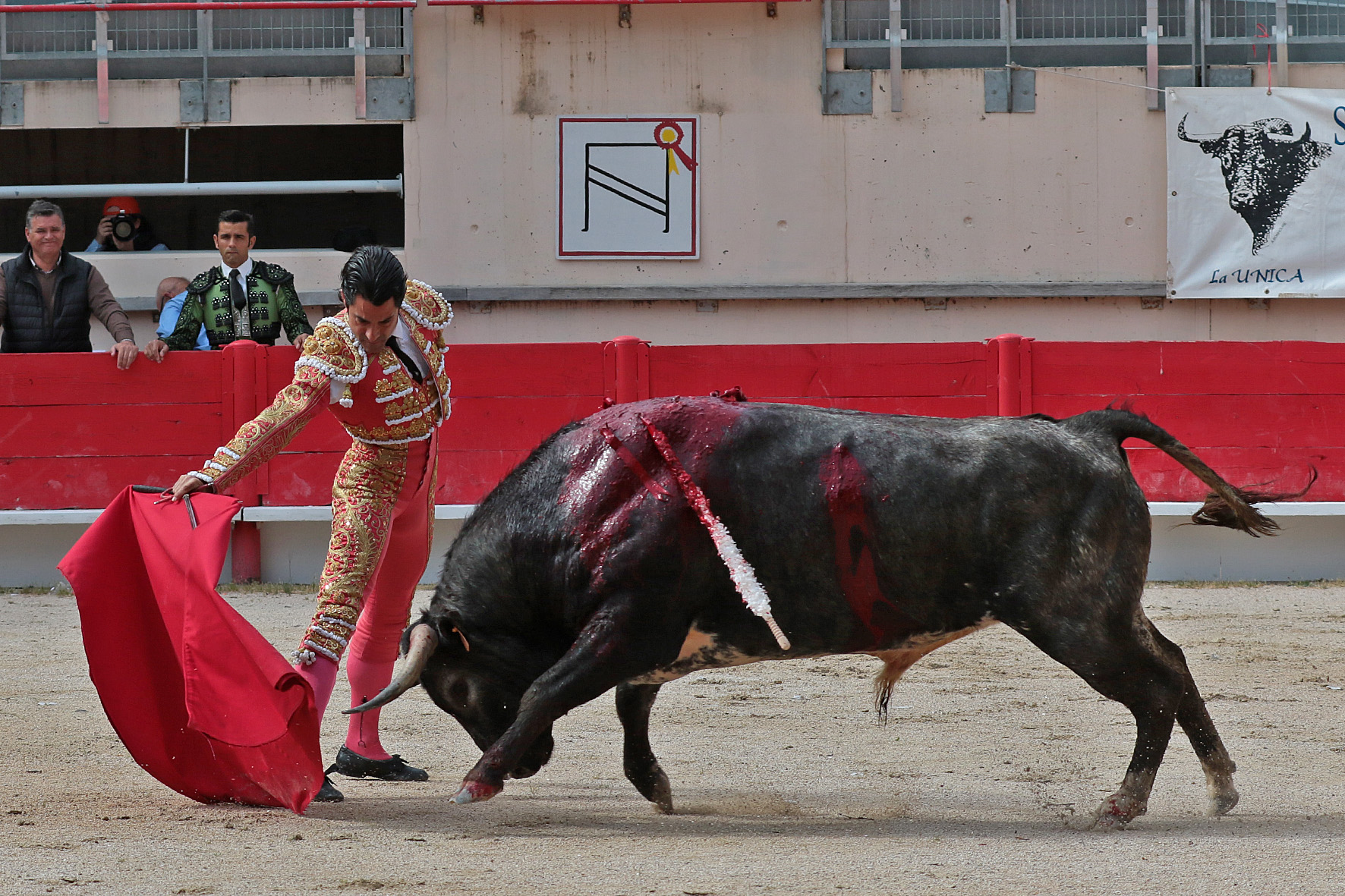 Saint Martin de Crau (Francia) - Sábado 28 de abril de 2018