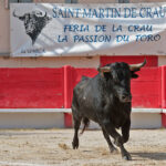 Saint Martin de Crau (Francia) - Sábado 28 de abril de 2018