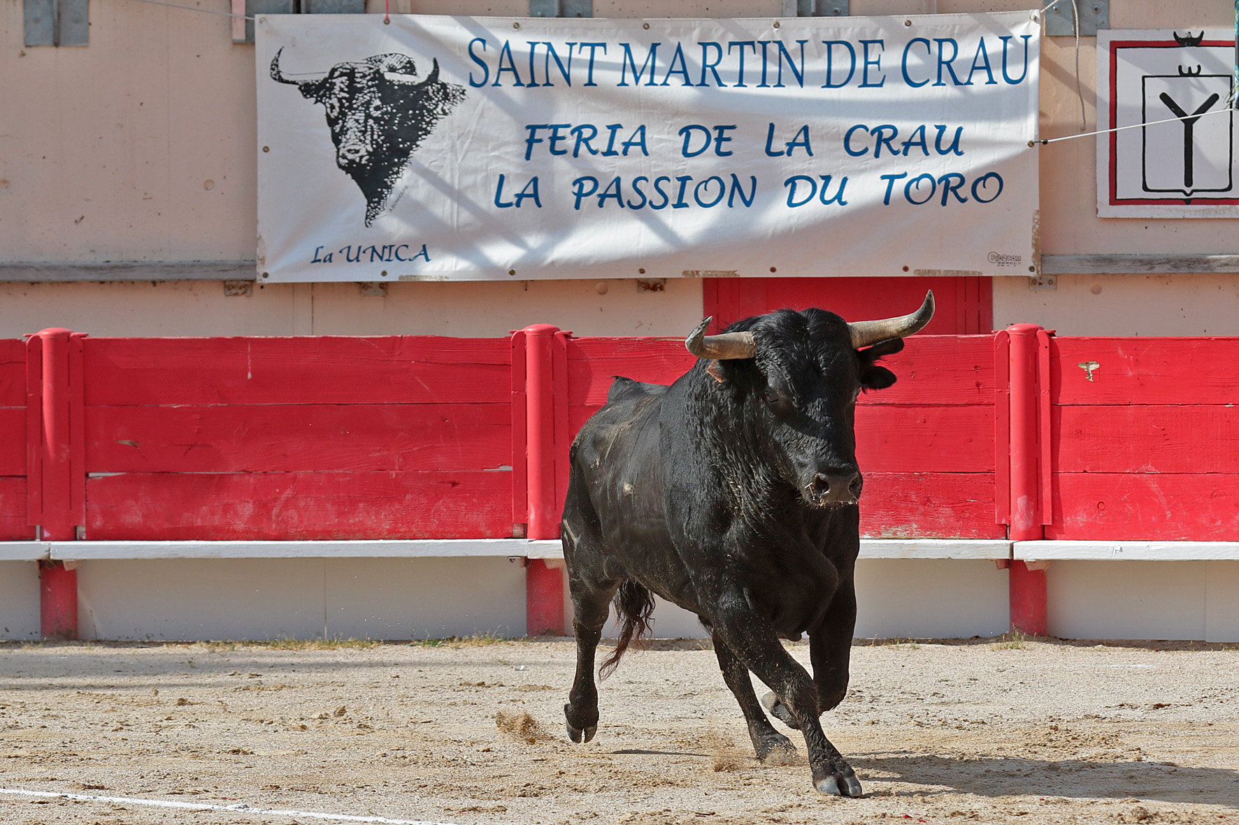 Saint Martin de Crau (Francia) - Sábado 28 de abril de 2018