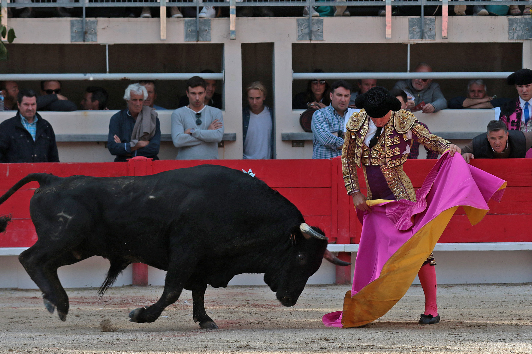 Saint Martin de Crau (Francia) - Sábado 28 de abril de 2018