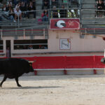 Saint Martin de Crau (Francia) - Sábado 28 de abril de 2018