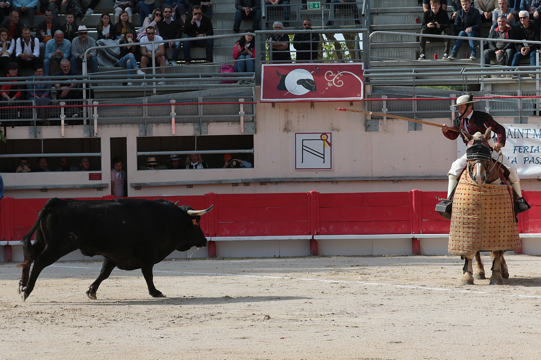 Saint Martin de Crau (Francia) - Sábado 28 de abril de 2018