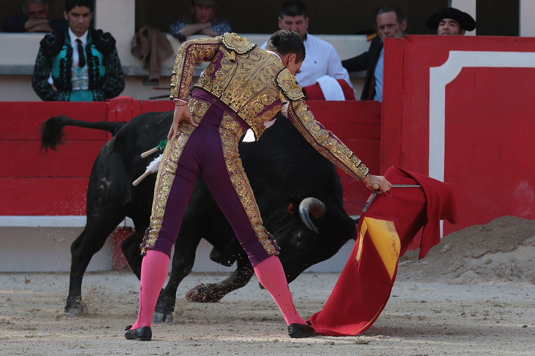 Saint Martin de Crau (Francia) - Sábado 28 de abril de 2018