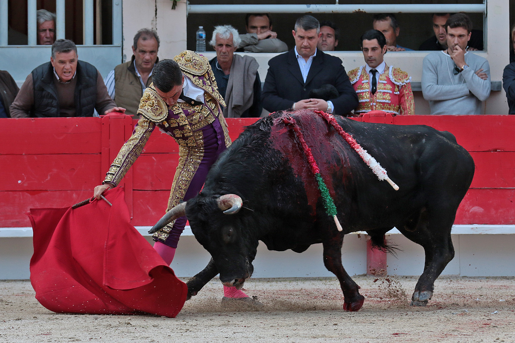 Saint Martin de Crau (Francia) - Sábado 28 de abril de 2018