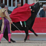 Saint Martin de Crau (Francia) - Sábado 28 de abril de 2018