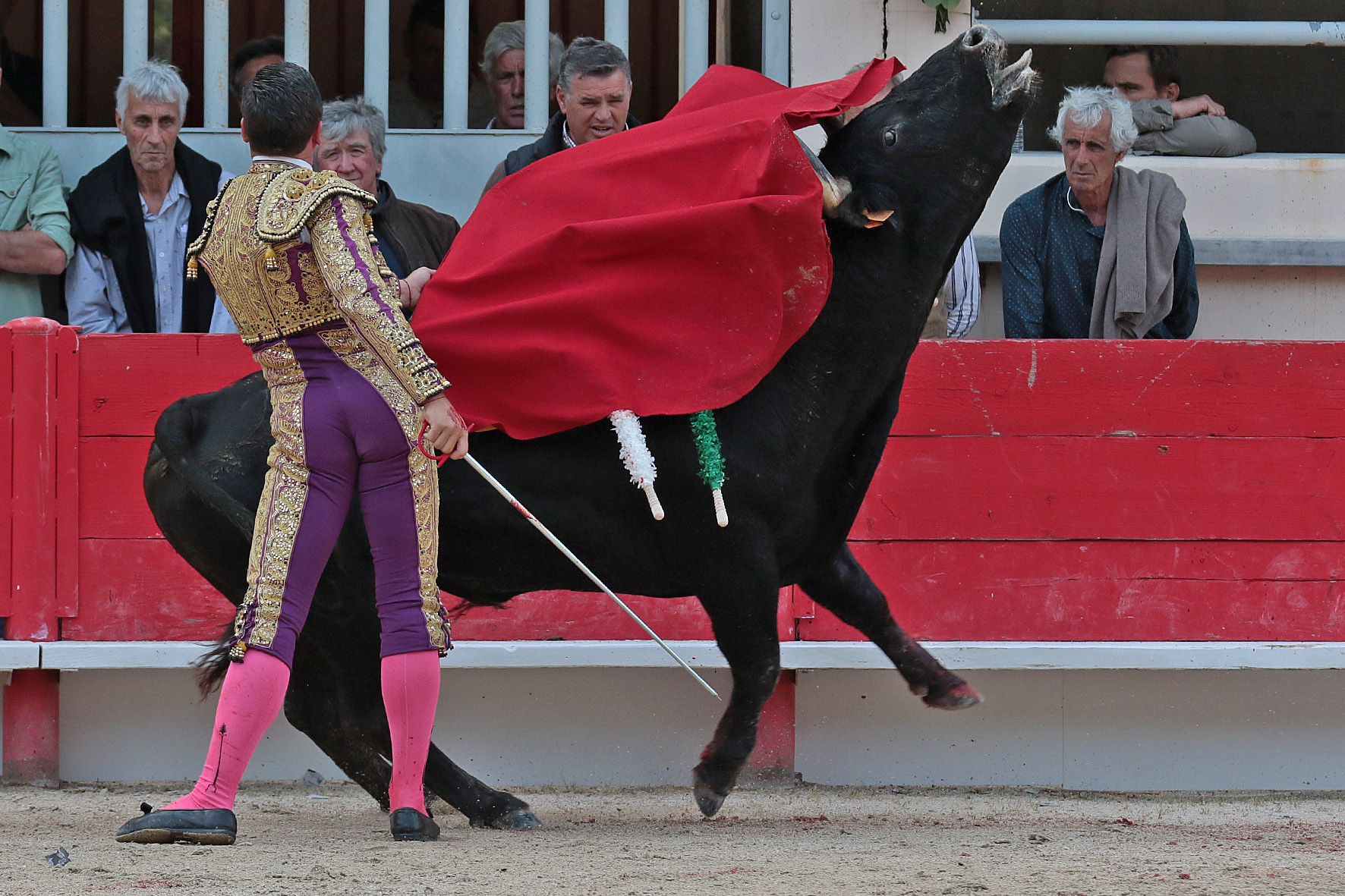 Saint Martin de Crau (Francia) - Sábado 28 de abril de 2018