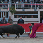 Saint Martin de Crau (Francia) - Sábado 28 de abril de 2018