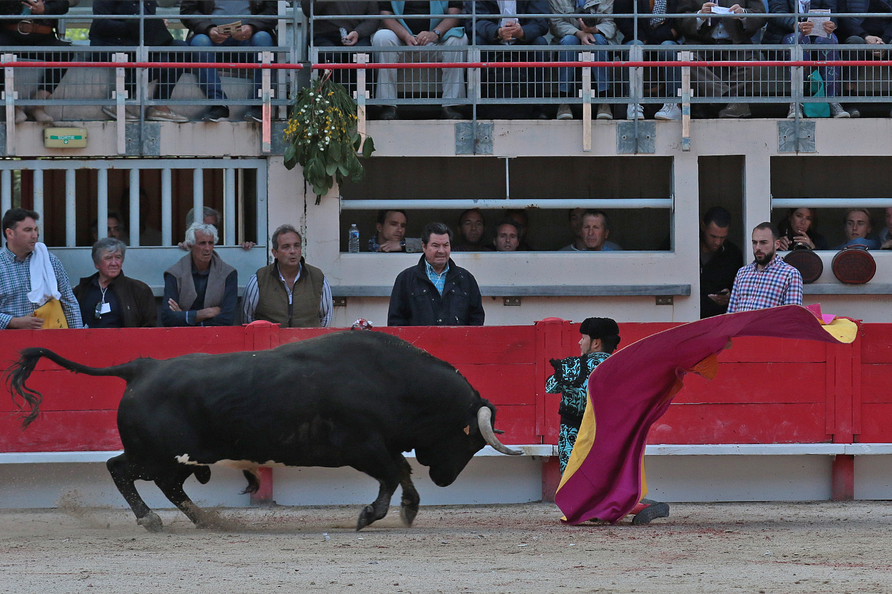 Saint Martin de Crau (Francia) - Sábado 28 de abril de 2018