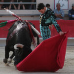 Saint Martin de Crau (Francia) - Sábado 28 de abril de 2018