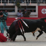 Saint Martin de Crau (Francia) - Sábado 28 de abril de 2018