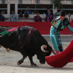 Saint Martin de Crau (Francia) - Sábado 28 de abril de 2018