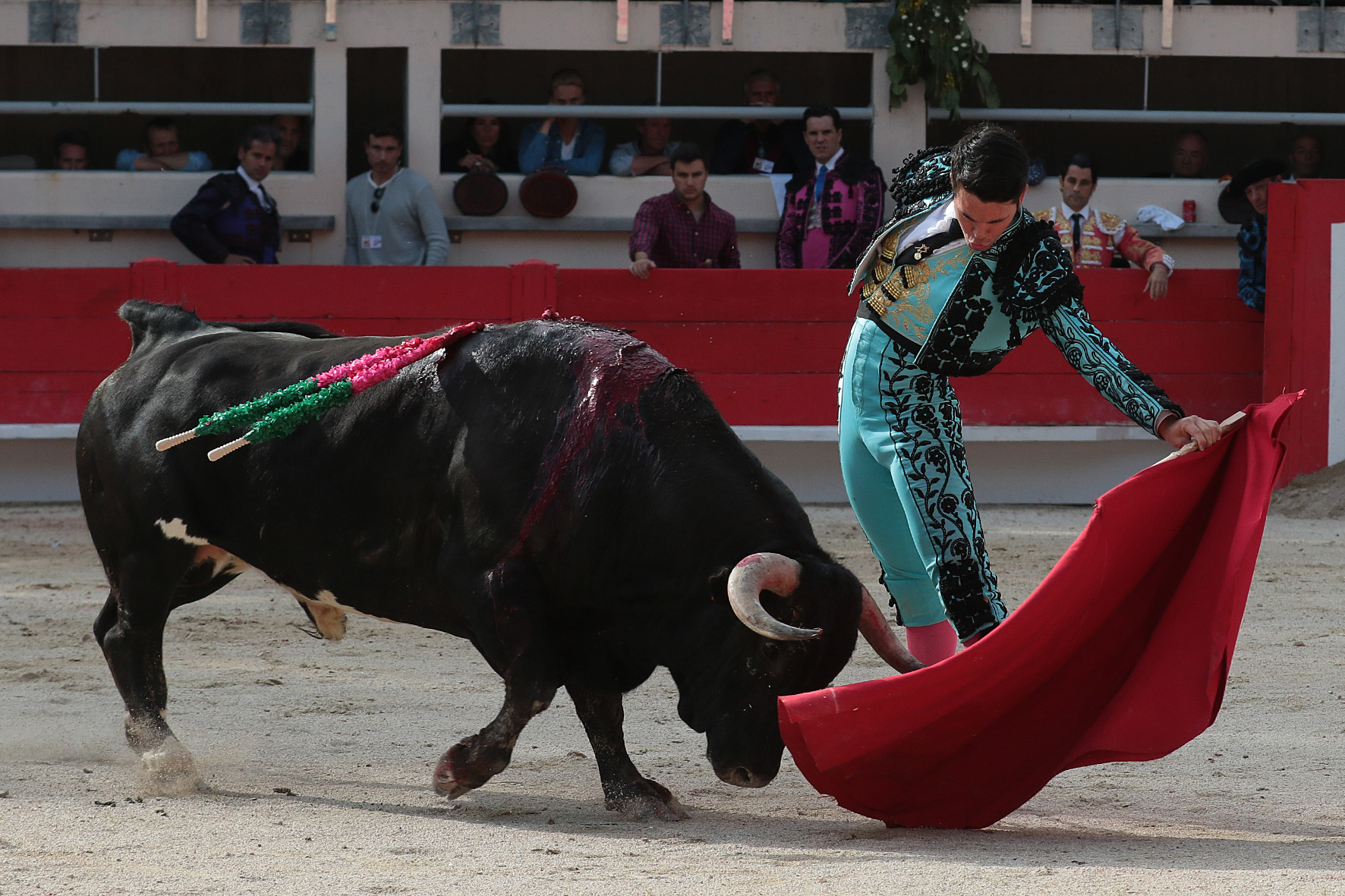 Saint Martin de Crau (Francia) - Sábado 28 de abril de 2018