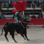 Saint Martin de Crau (Francia) - Sábado 28 de abril de 2018