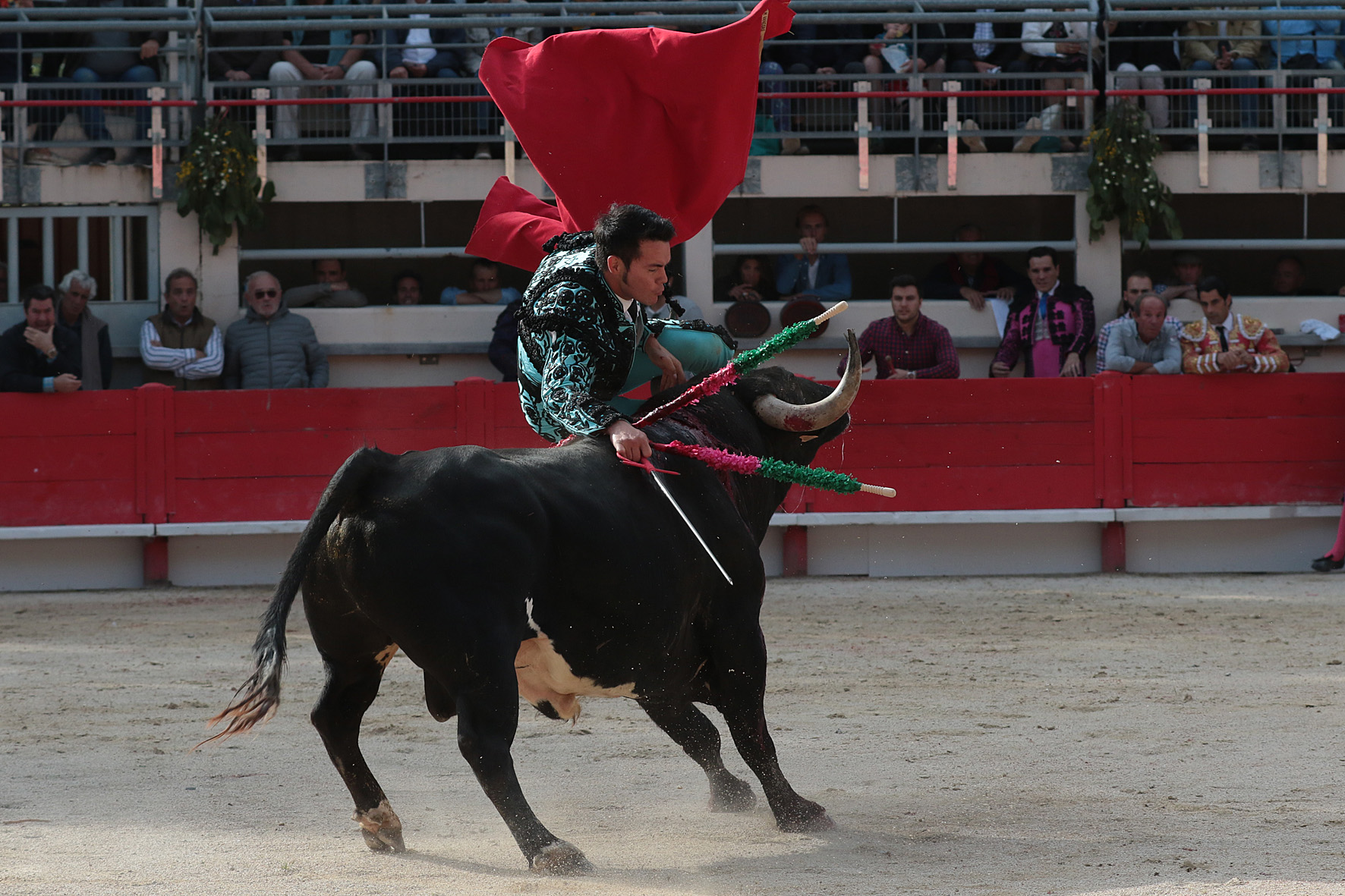 Saint Martin de Crau (Francia) - Sábado 28 de abril de 2018