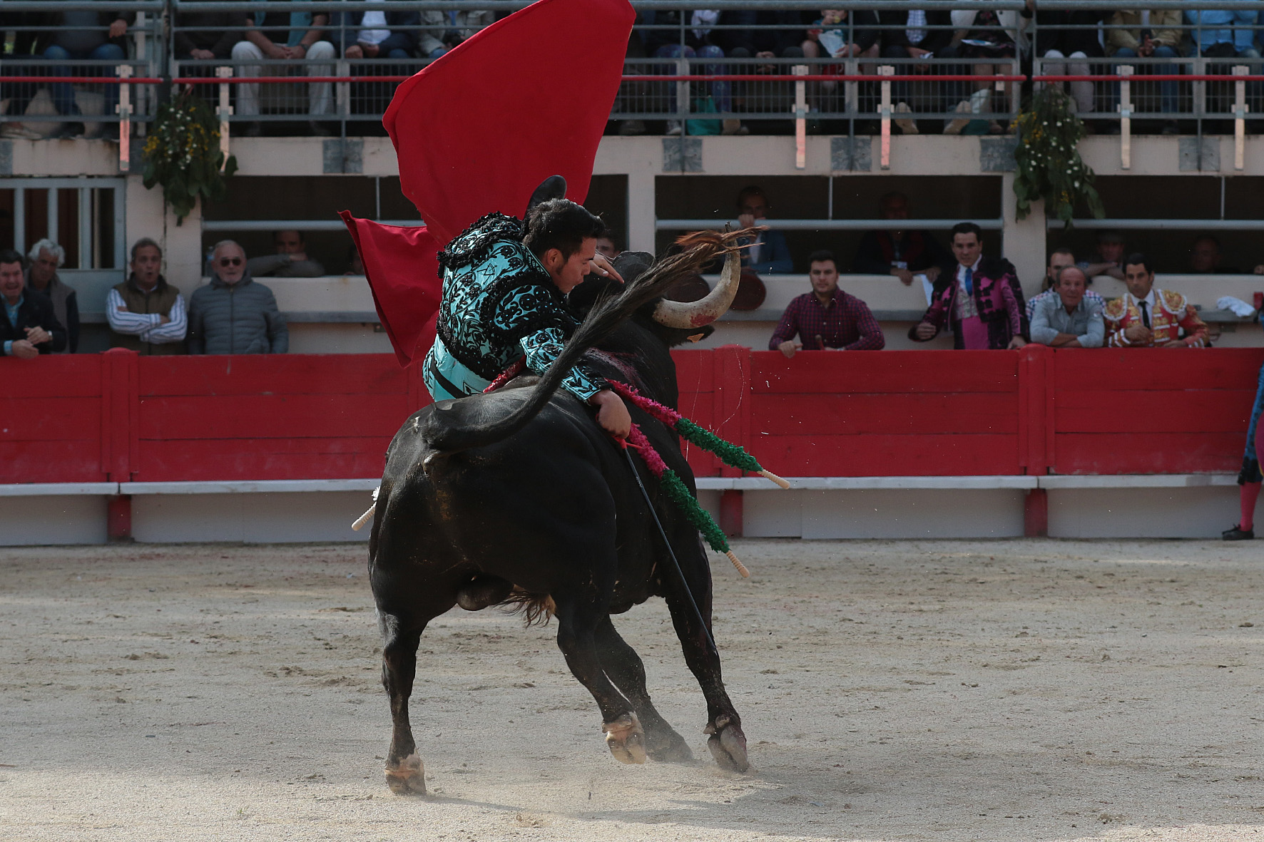 Saint Martin de Crau (Francia) - Sábado 28 de abril de 2018