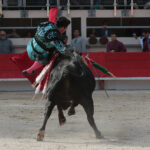 Saint Martin de Crau (Francia) - Sábado 28 de abril de 2018