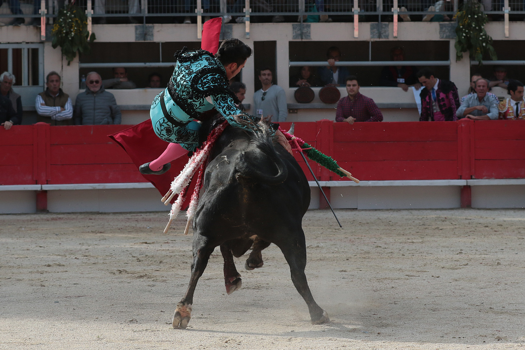 Saint Martin de Crau (Francia) - Sábado 28 de abril de 2018