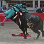 Saint Martin de Crau (Francia) - Sábado 28 de abril de 2018