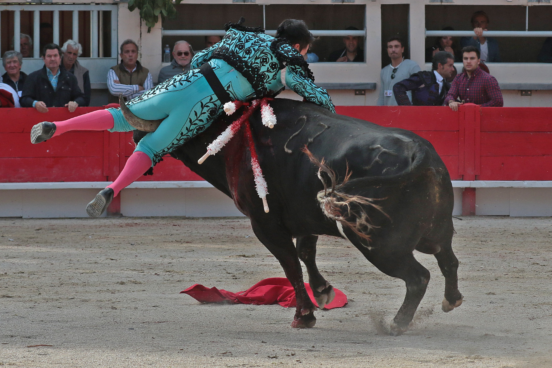 Saint Martin de Crau (Francia) - Sábado 28 de abril de 2018