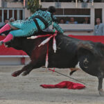 Saint Martin de Crau (Francia) - Sábado 28 de abril de 2018