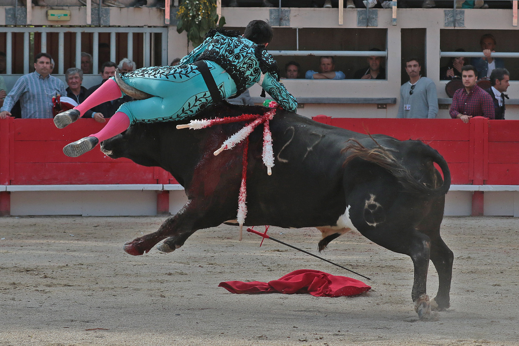 Saint Martin de Crau (Francia) - Sábado 28 de abril de 2018