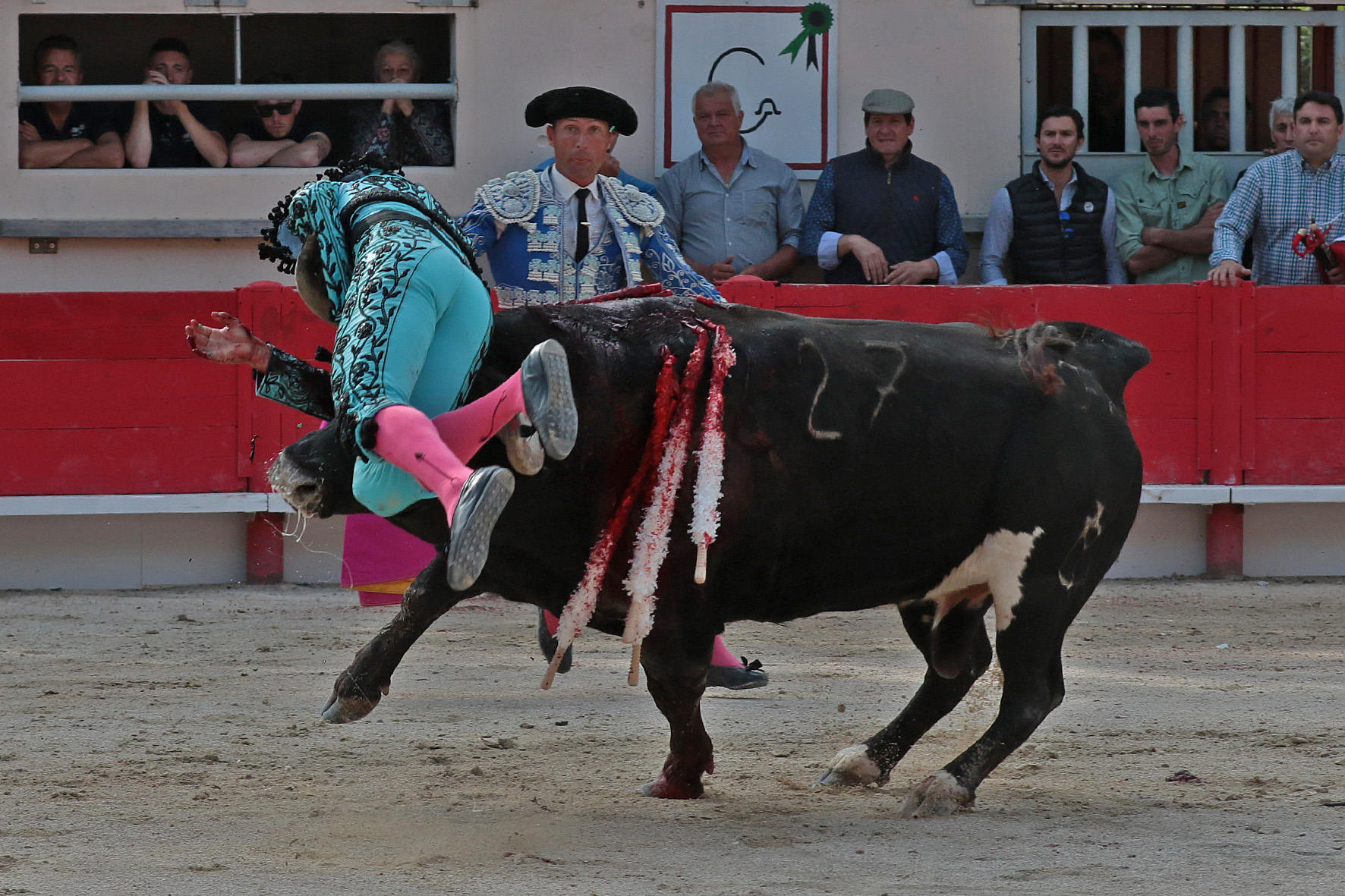 Saint Martin de Crau (Francia) - Sábado 28 de abril de 2018