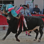 Saint Martin de Crau (Francia) - Sábado 28 de abril de 2018