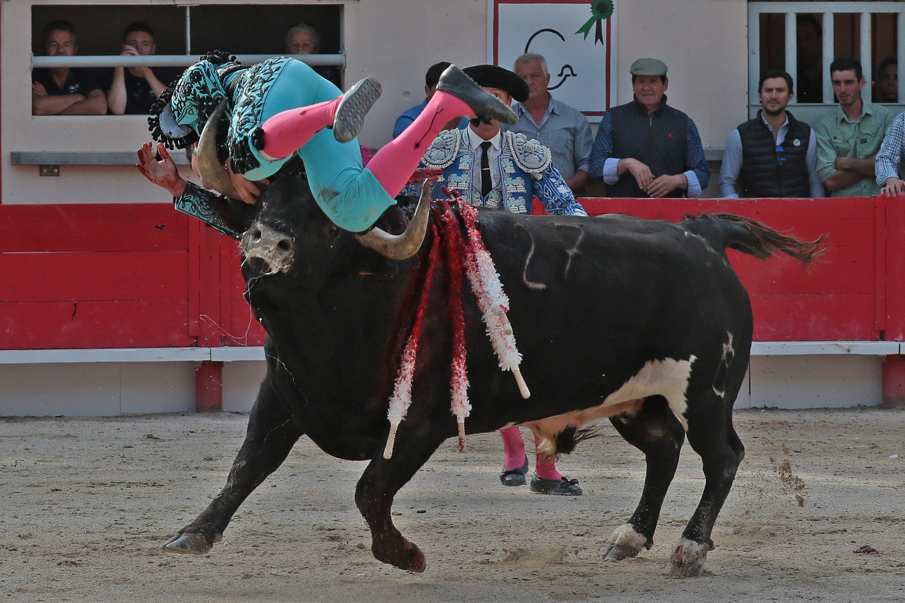 Saint Martin de Crau (Francia) - Sábado 28 de abril de 2018