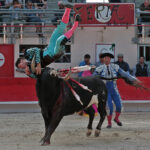 Saint Martin de Crau (Francia) - Sábado 28 de abril de 2018