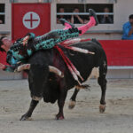 Saint Martin de Crau (Francia) - Sábado 28 de abril de 2018
