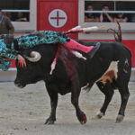 Saint Martin de Crau (Francia) - Sábado 28 de abril de 2018