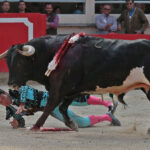 Saint Martin de Crau (Francia) - Sábado 28 de abril de 2018