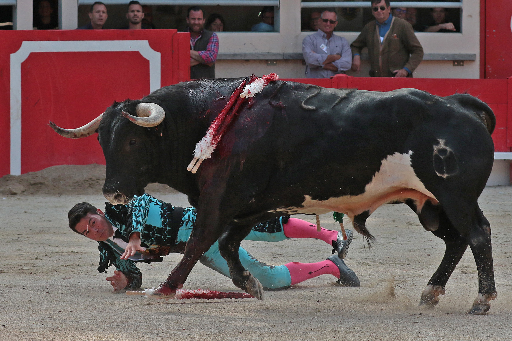Saint Martin de Crau (Francia) - Sábado 28 de abril de 2018