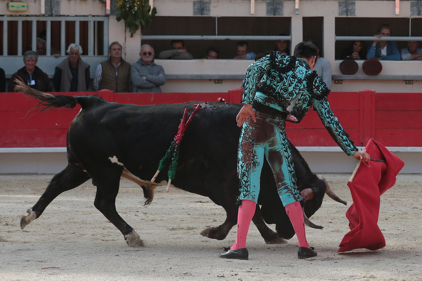 Saint Martin de Crau (Francia) - Sábado 28 de abril de 2018